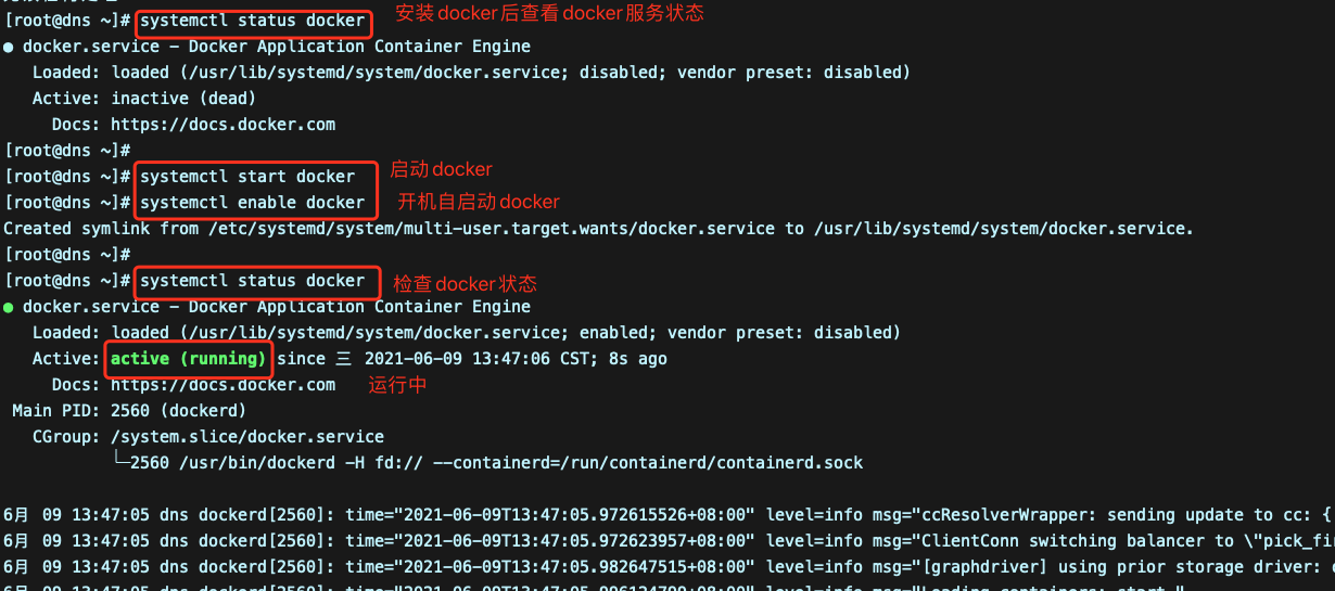 image-20210609134903988